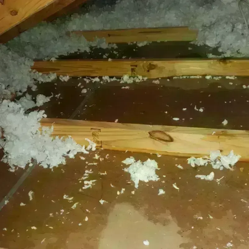 Attic Water Damage in Fultondale, AL