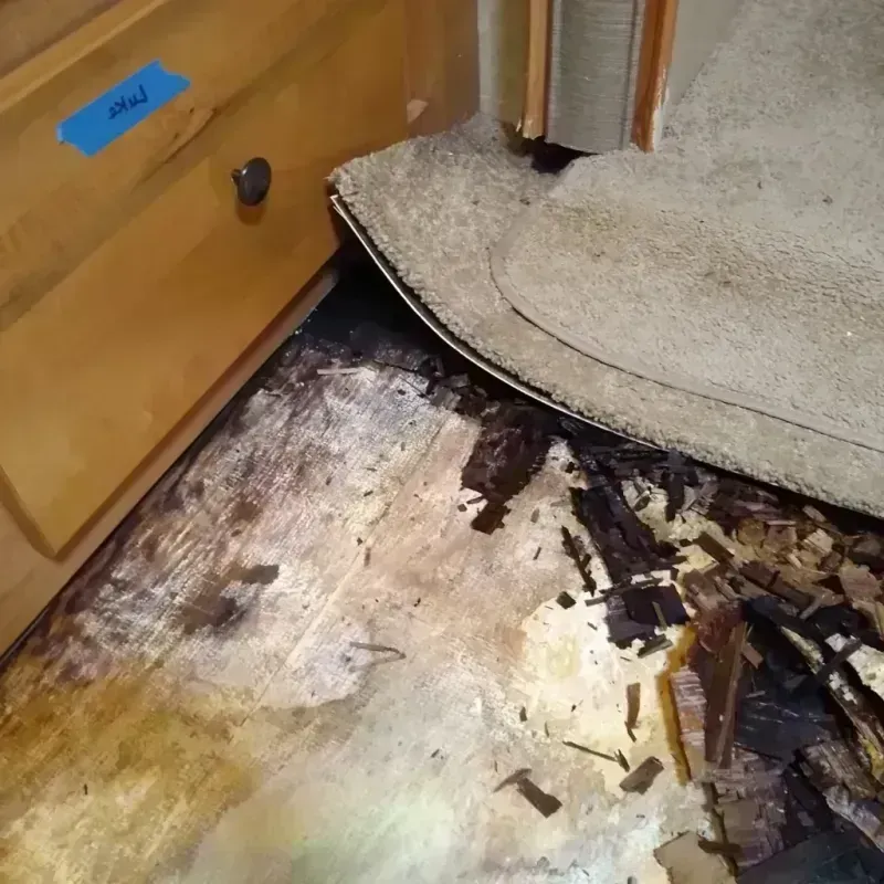 Wood Floor Water Damage in Fultondale, AL